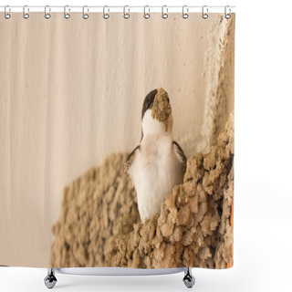 Personality  Small Urban Bird Building Its Nest  Shower Curtains