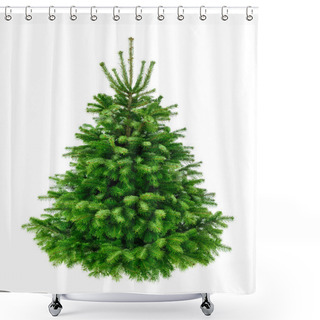 Personality  Perfect Lush Fir Tree On Pure White Shower Curtains