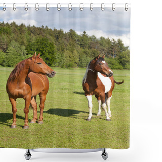 Personality  Portrait Of Two Nice Horses Shower Curtains