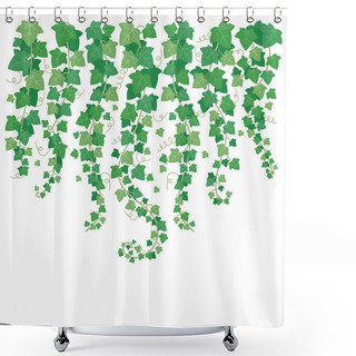 Personality  Dangling Green Ivy. Plants Leaf Hanging From Above. Leaves Isolated On Garden White Wall Vector Background Illustration Shower Curtains