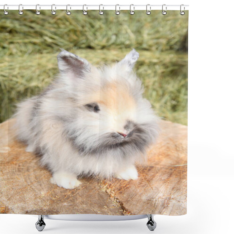 Personality  Lionhead Rabbit Sitting On A Log Against Hay Background Shower Curtains