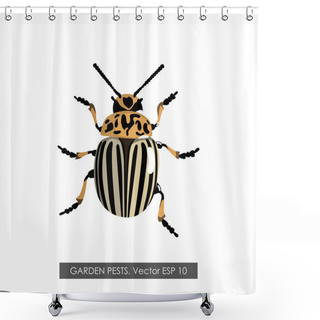 Personality  Detailed Drawing Of The Colorado Potato Beetle . Isolated Object Shower Curtains