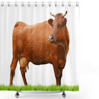 Personality  Cow On White Background. Farm Animal Concept. Shower Curtains