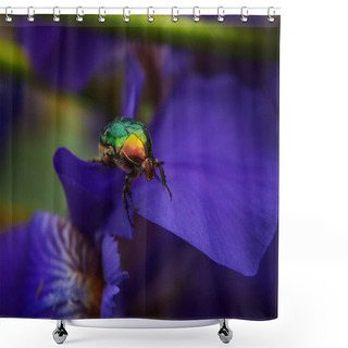 Personality  The Great Iron Insect Beetle On The Blue Petals Of The Iris Flower Shower Curtains