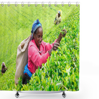 Personality  Tea Pickers At Work Shower Curtains