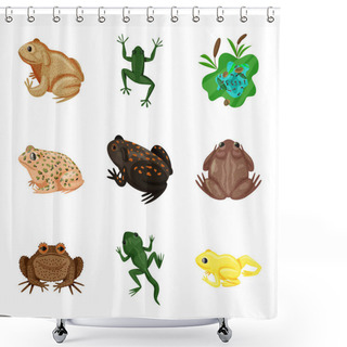 Personality  Vector Illustration Of Frog And Anuran Icon. Collection Of Frog And Animal Vector Icon For Stock. Shower Curtains