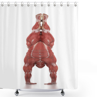 Personality  Athlete Man Muscles Anatomy Shower Curtains