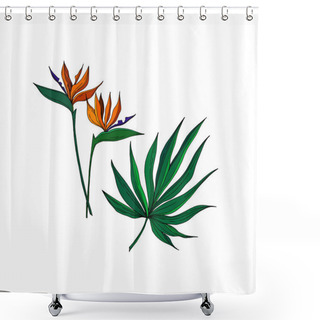 Personality  Vector Tropical Floral Botanical Flowers. Black And White Engraved Ink Art. Isolated Flower Illustration Element. Shower Curtains