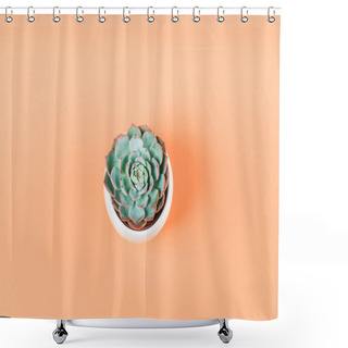 Personality  Succulent Plant On Pale Orange Background Shower Curtains