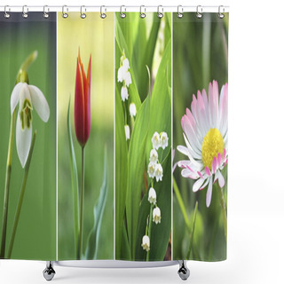 Personality  Collage Of Four Springtime Flowers Shower Curtains