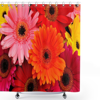 Personality  Gerbera Daisies Shower Curtains