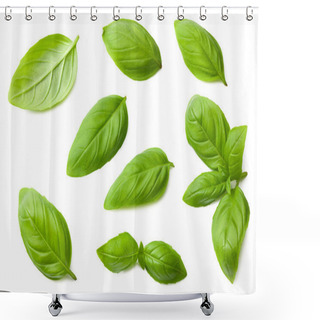 Personality  Basil Leaves Isolated On A White Background. Top View Shower Curtains