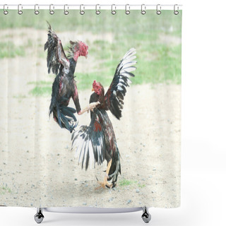 Personality  Cockfight In Thailand,Popular Sport And Tradition. Shower Curtains