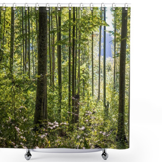 Personality  Forest Of Deciduous Trees Shower Curtains