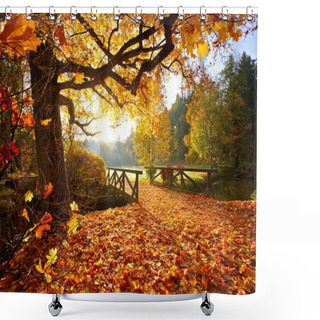 Personality  Autumn Forest. Beautiful Rural Scenery. Shower Curtains