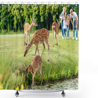 Personality  Family Looking At Deer In Park Shower Curtains