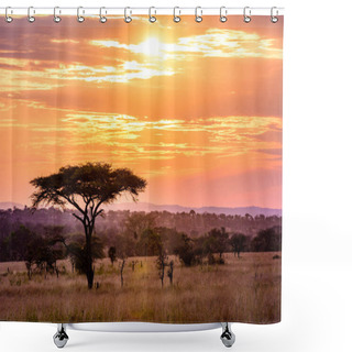 Personality  Sunset In Savannah Of Africa With Acacia Trees, Safari In Serengeti Of Tanzania Shower Curtains