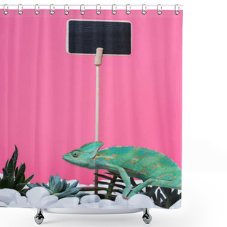 Personality  Beautiful Colorful Chameleon Crawling On Stones With Succulents And Blank Board Isolated On Pink Shower Curtains