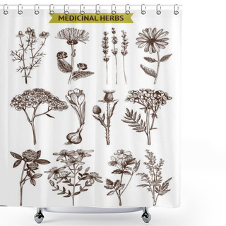 Personality  Collection Of Hand Drawn Spices And Herbs Shower Curtains