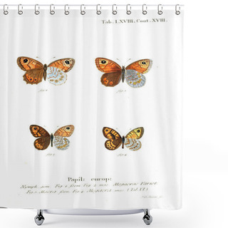 Personality  Illustration Of Butterflies. Old Image Shower Curtains