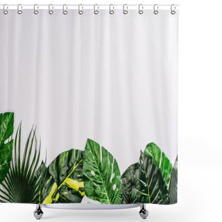 Personality  Top View Of Green Leaves Of Tropical Plants On White Background Shower Curtains