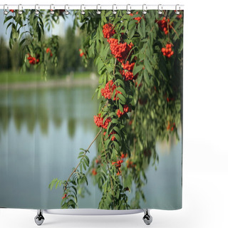 Personality  Ashberry With Leafs Shower Curtains