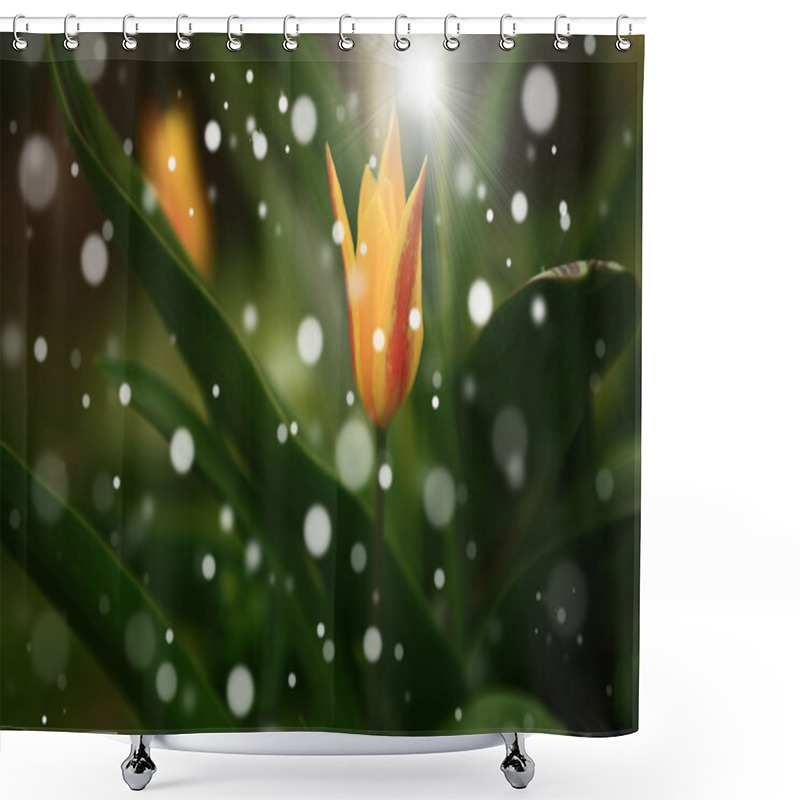 Personality  Tulip Flowers Shower Curtains