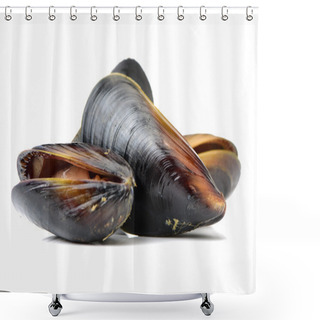 Personality  Three Mussels Close Up  Shower Curtains