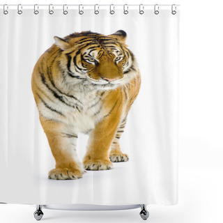 Personality  Tiger Isolated Shower Curtains