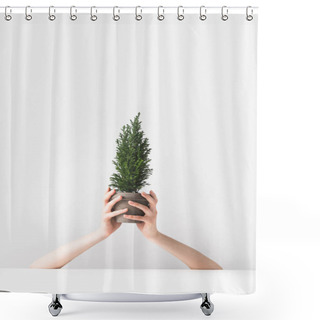 Personality  Cropped Shot Of Person Holding Beautiful Green Potted Houseplant In Hands On White  Shower Curtains