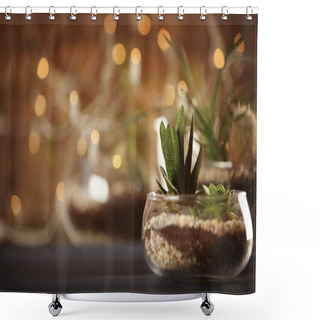 Personality  Florarium With Succulents Shower Curtains