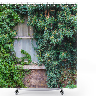 Personality  Old Window Covered In Ivy Shower Curtains