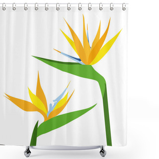 Personality  Paradise Flower-vector Shower Curtains