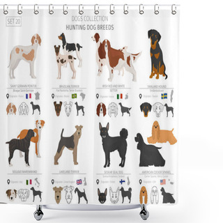 Personality  Hunting Dogs Collection Isolated On White. Flat Style. Different Color And Country Of Origin. Vector Illustration Shower Curtains