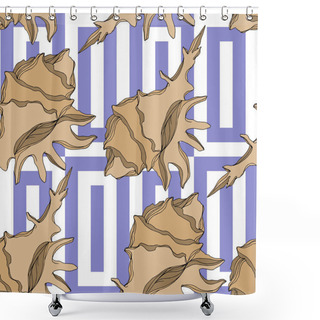 Personality  Vector Summer Beach Seashell Tropical Elements. Brown Beige Engr Shower Curtains