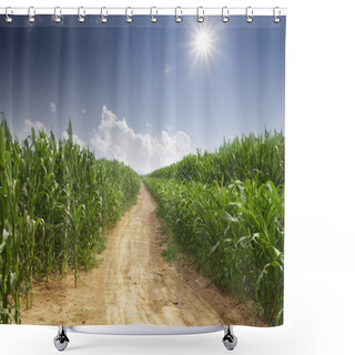 Personality  Empty Road And Green Field At Sunny Day Shower Curtains