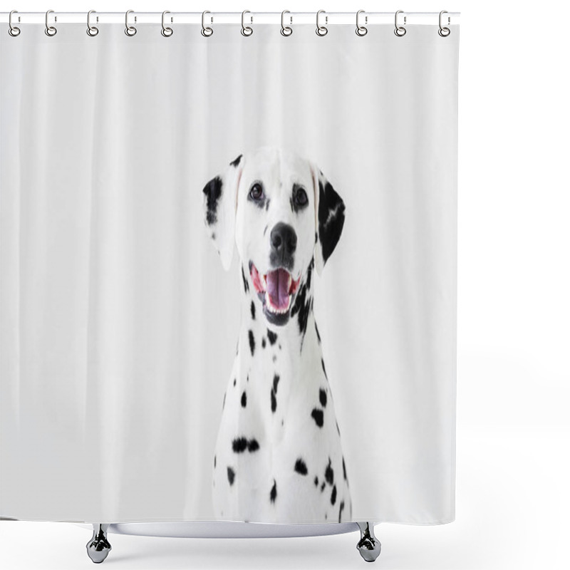Personality  One Cute Dalmatian Dog With Open Mouth Isolated On White Shower Curtains