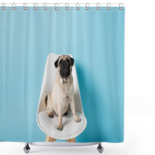 Personality  White Chair With Funny Pug Dog On Blue Background Shower Curtains