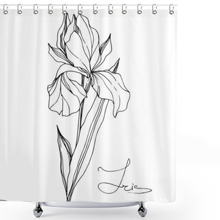 Personality  Vector Iris Floral Botanical Flower. Wild Spring Leaf Wildflower Isolated. Black And White Engraved Ink Art. Isolated Iris Illustration Element On White Background. Shower Curtains