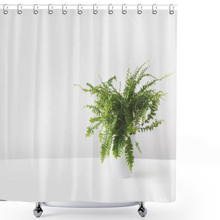 Personality  Beautiful Green Fern Plant In Pot On White Shower Curtains