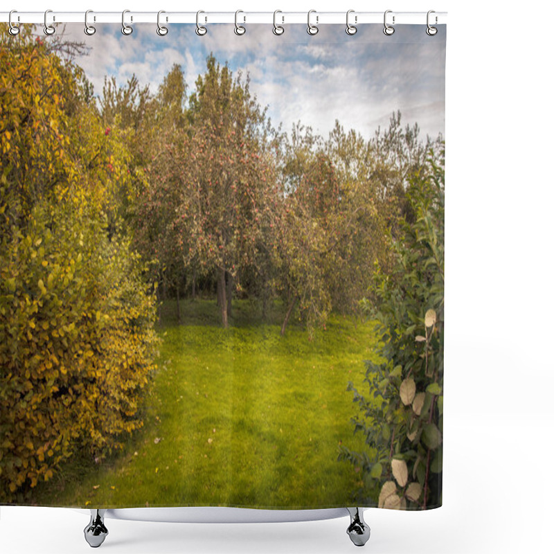 Personality  Apple Orchard Shower Curtains