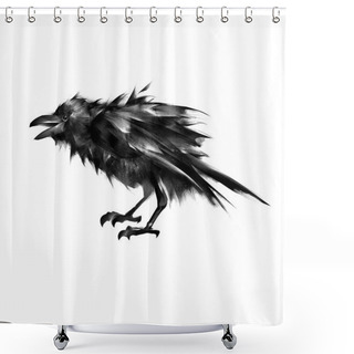 Personality  Sitting Crow Art Isolated Shower Curtains