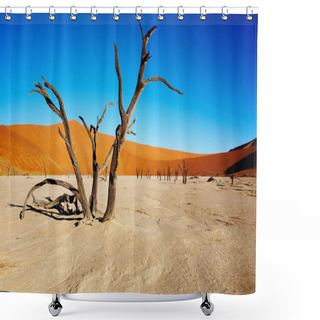 Personality  Namib Desert Shower Curtains