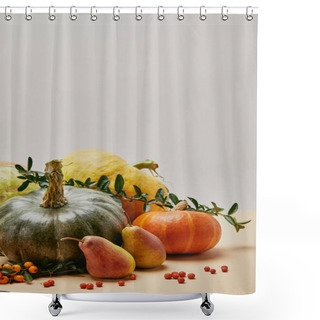 Personality  Autumnal Decor With Different Pumpkins, Pears And Firethorn Berries On Table Shower Curtains
