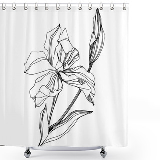 Personality  Vector Iris Floral Botanical Flower. Wild Spring Leaf Wildflower Isolated. Black And White Engraved Ink Art. Isolated Iris Illustration Element On White Background. Shower Curtains
