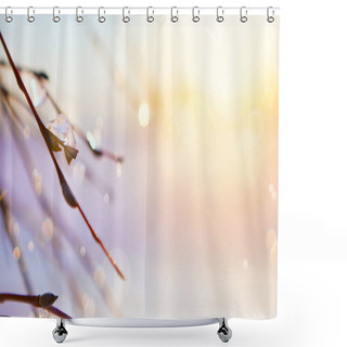 Personality  Spring Icicle Melts; March Tree Branch Background Shower Curtains