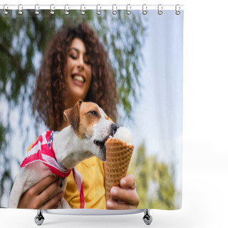 Personality  Selective Focus Of Jack Russell Terrier Dog Licking Ice Cream From Hand Shower Curtains