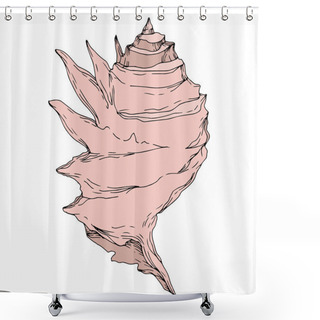 Personality  Summer Beach Seashell Tropical Elements. Black And White Engraved Ink Art. Isolated Shells Illustration Element. Shower Curtains