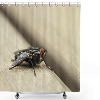Personality  Home Fly On Table Macro Closeup Shower Curtains