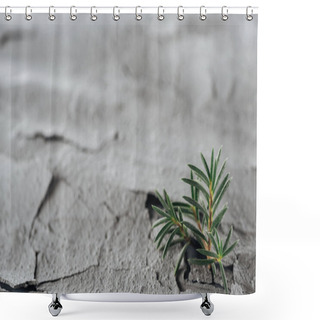 Personality  Selective Focus Of Young Green Plants On Dried Cracked Land Surface, Global Warming Concept Shower Curtains